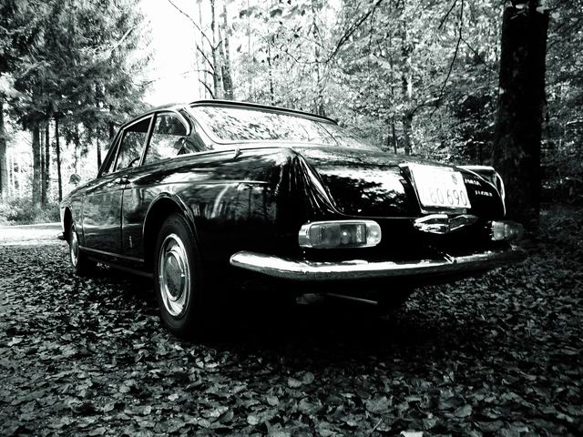 flavia05.jpg