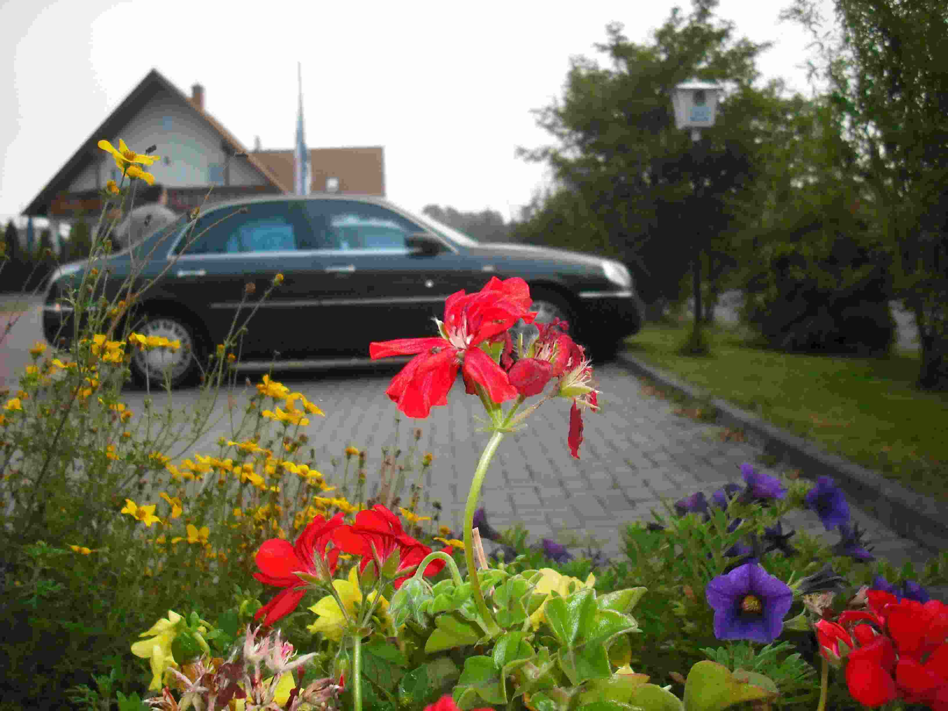 foto 19.jpg