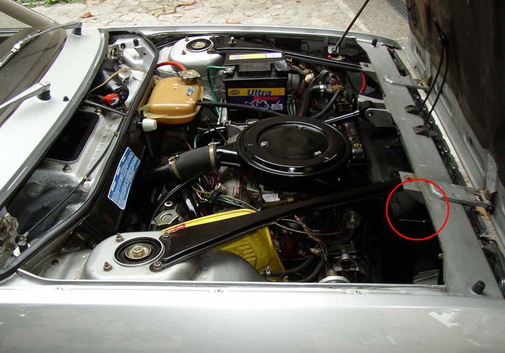 spaiderina-motore-dx-rid.jpg