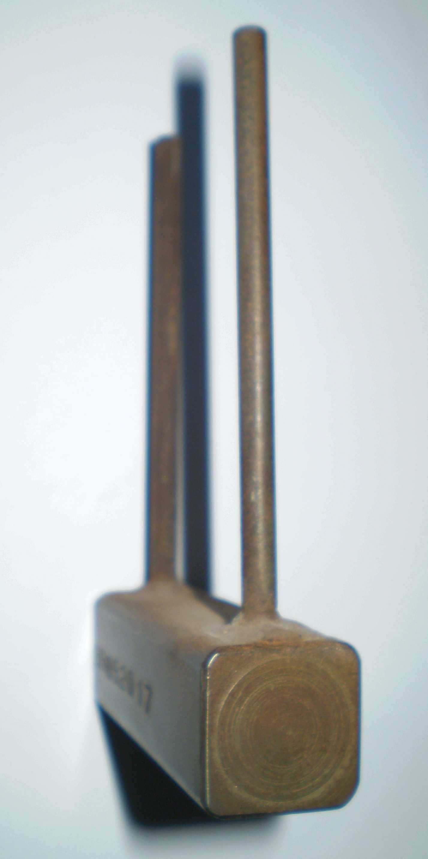 pa200855.jpg
