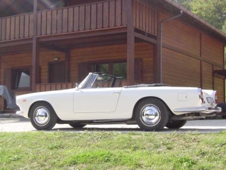 flaminia b.jpg