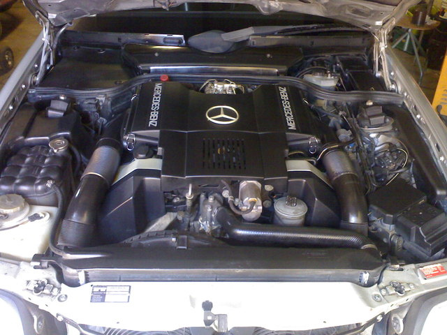 050920091608 piccola.jpg