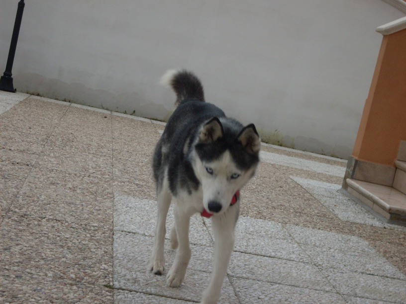 sdc10909.jpg