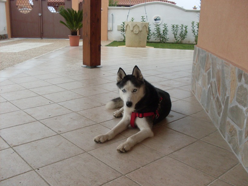 sdc10904.jpg