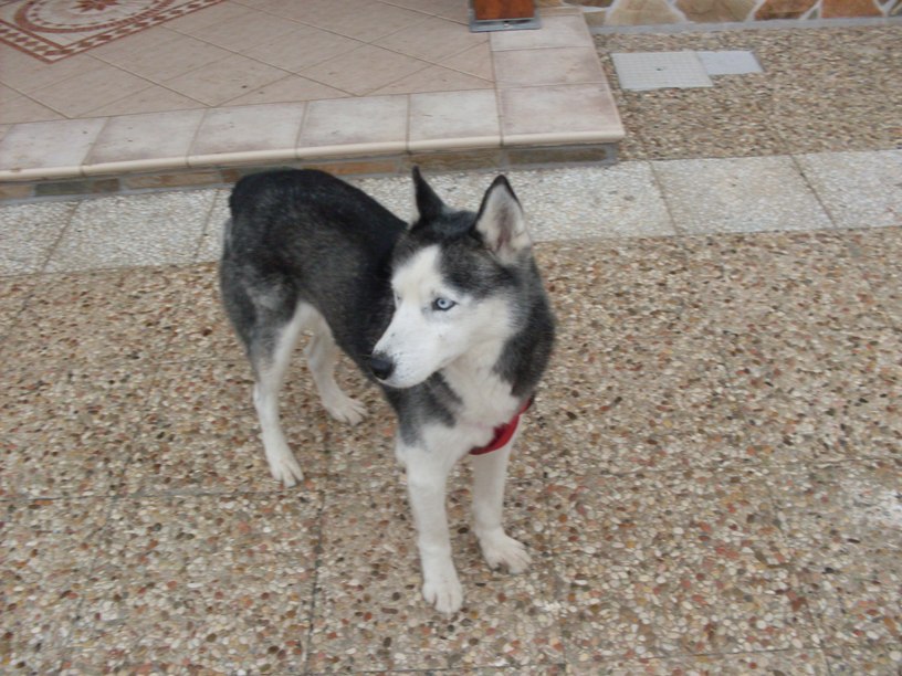 sdc10907.jpg
