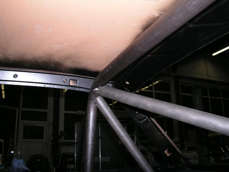 p1011446klein.jpg