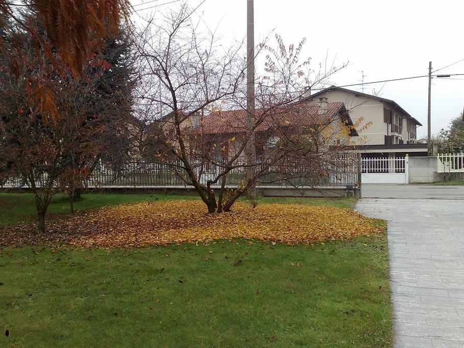 281120091042.jpg