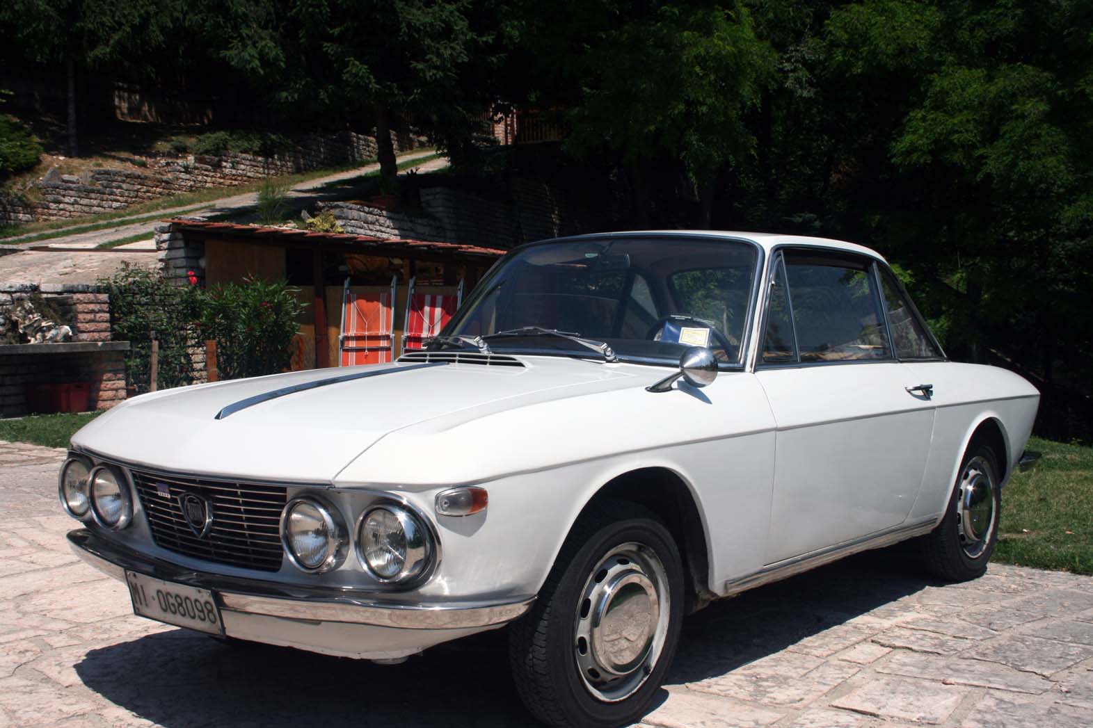 fulviaweb.jpg
