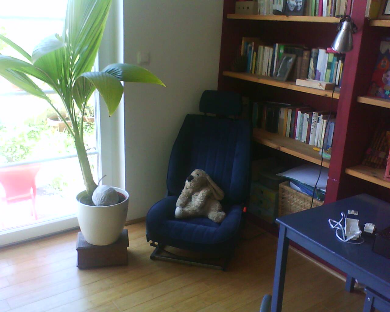dedra-sitz-59240.jpg