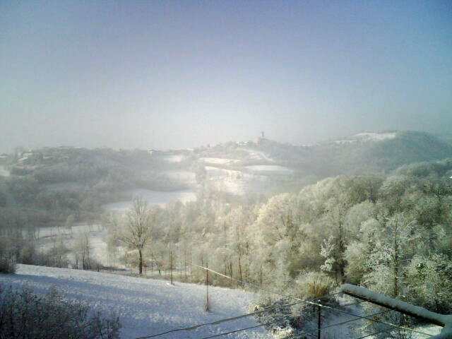 img00049.jpg