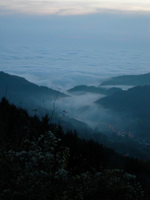 nebbia.jpg