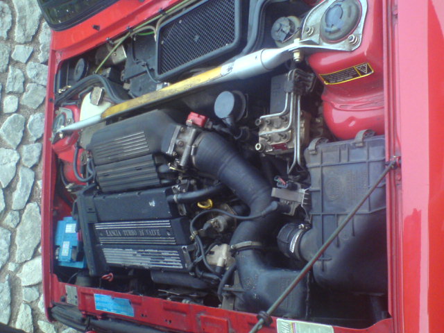 dsc01124.jpg